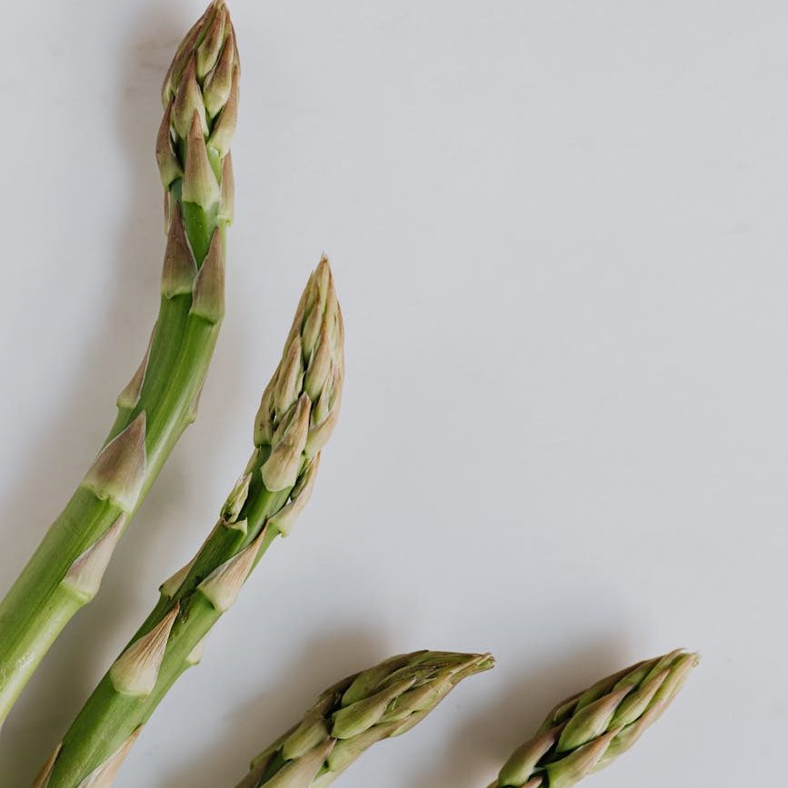 fresh green asparagus sprouts on gray background