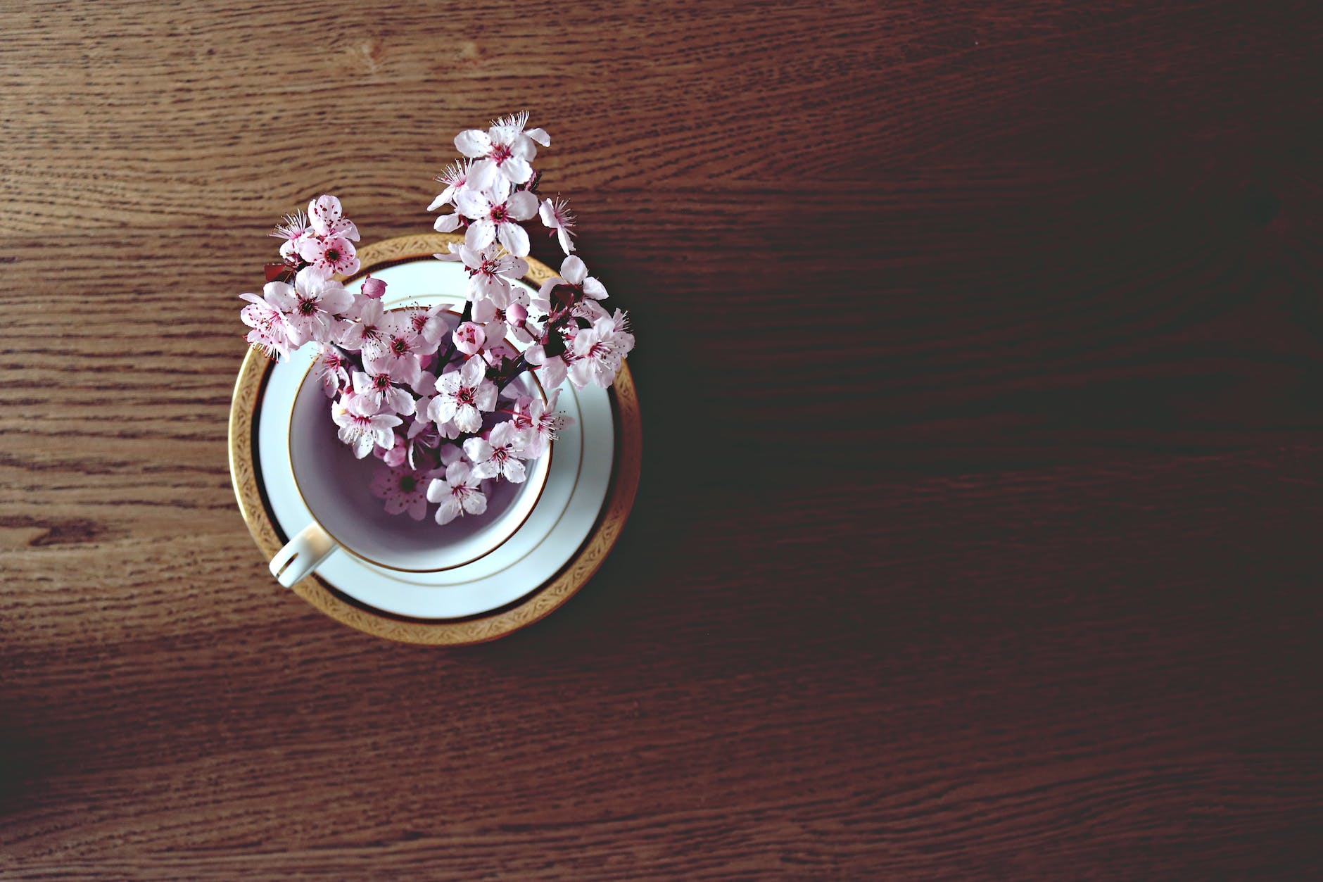 white and purple flowers in white ceramic cup