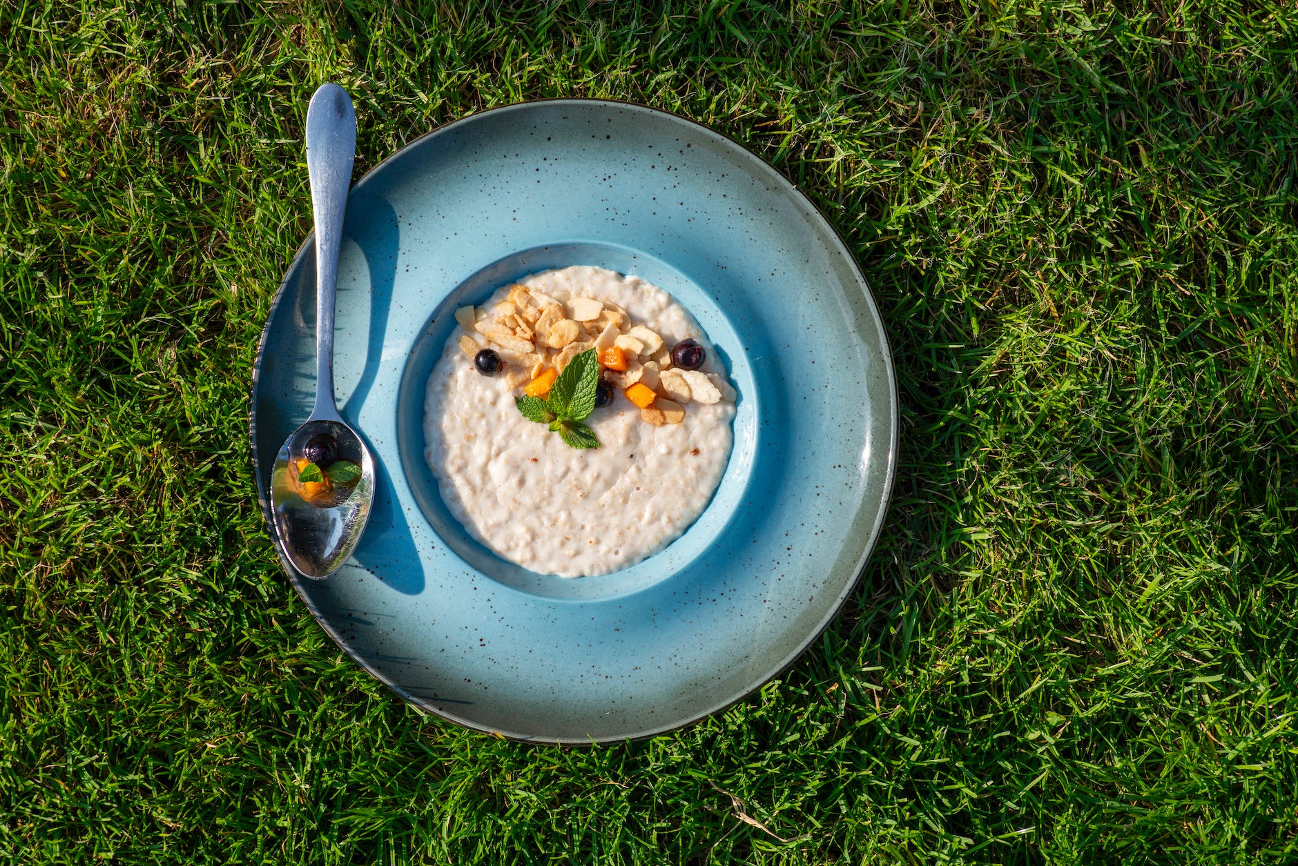 bowl of porridge on a plate lying on the grass